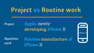 project vs routine work